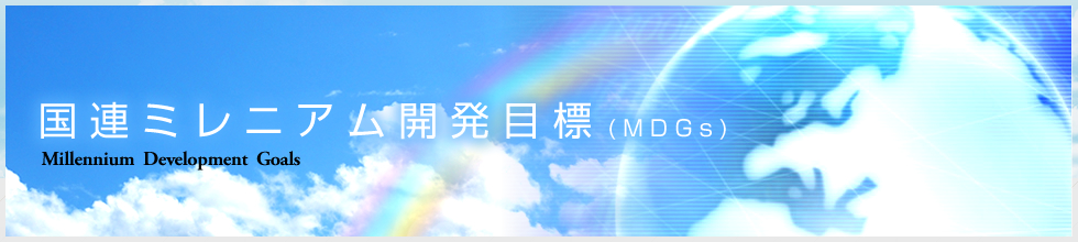 国連ミレニアム開発目標（MDGs）