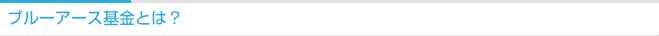 ブルーアース基金とは？