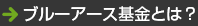 ブルーアース基金とは？