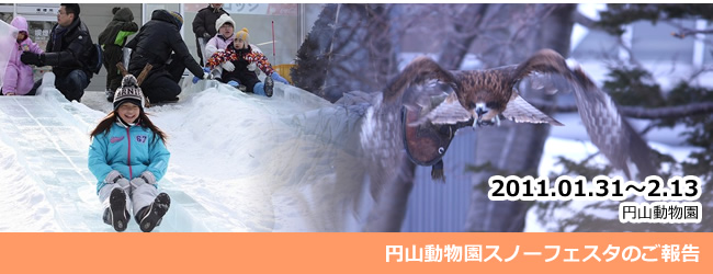 2011/02/13　円山動物園スノーフェスタ開催のご報告