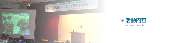 活動内容